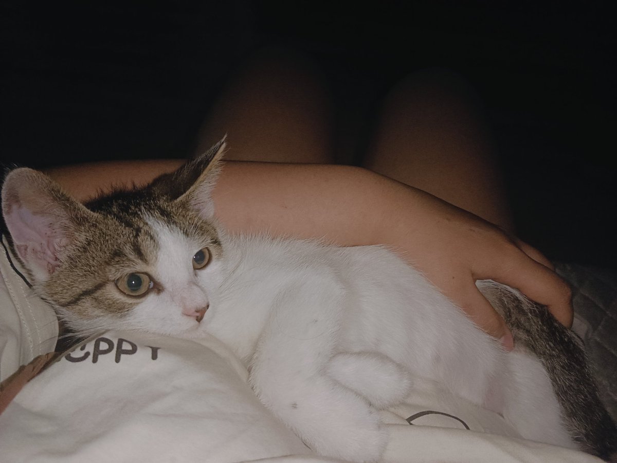 如果可以，我希望这一刻久一点再久一点(≧ω≦)  #女初 #女s #学生主 #atm #原味 #白袜 #白鞋 #狗奴 #报销奴  #脚奴