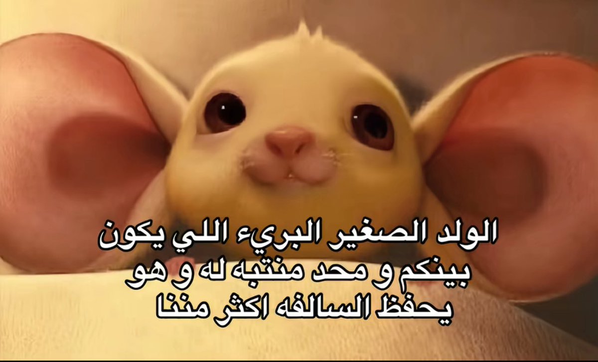 WA (@wa364w) on Twitter photo 