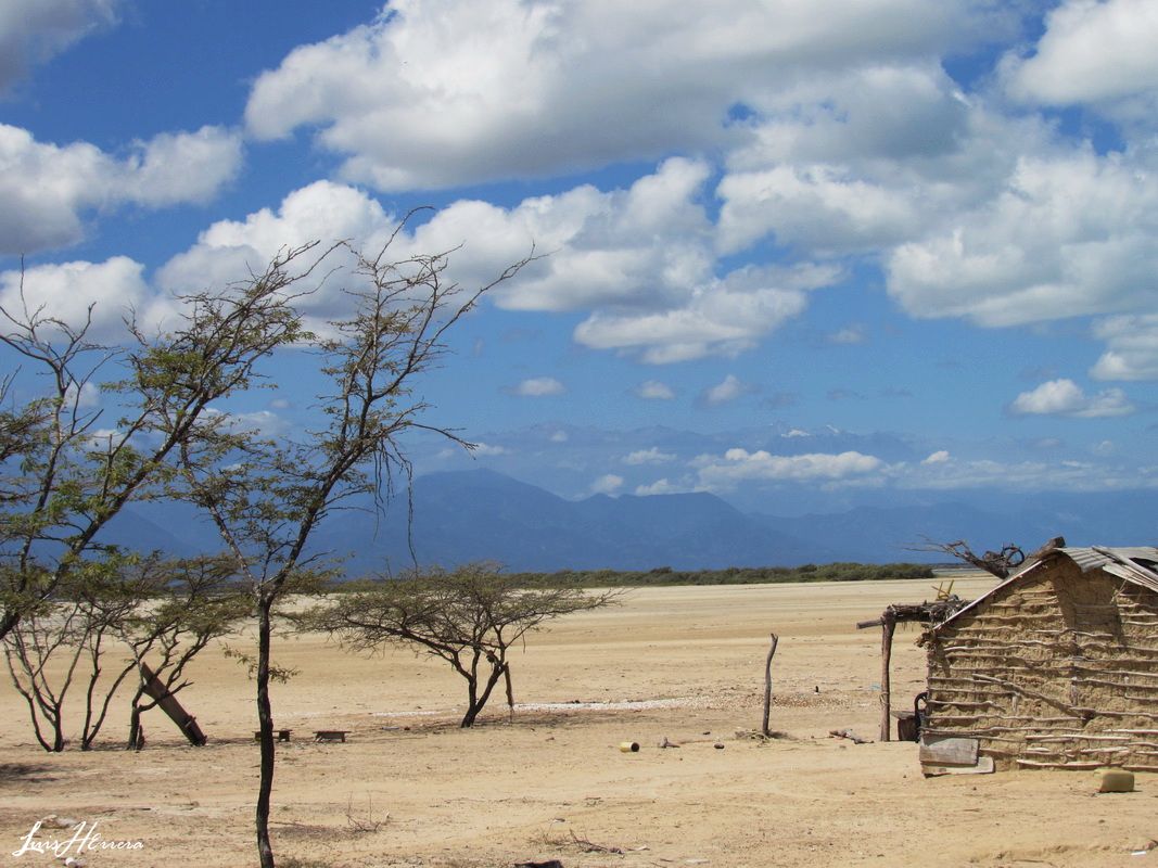 #AmaneceresGuajiros; Buenos Dias Mundo, seguimos en Laguna Grande en Camarones. que nos regalo estas @postalesguajiras. #LaGuajira; tierra de los Amaneceres irrepetibles. <a href="/seguidores/">seguidores</a> <a href="/destacar/">ISABEL FERNANDEZ AR</a> <a href="/mincultura/">MinCultura Colombia</a>  <a href="/fonturcol/">Fontur Colombia</a> <a href="/PROCOLOMBIACO/">PROCOLOMBIA</a> <a href="/petrogustavo/">Gustavo Petro</a>