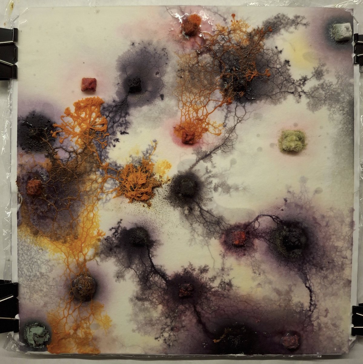 Generative art comes in many forms :-)