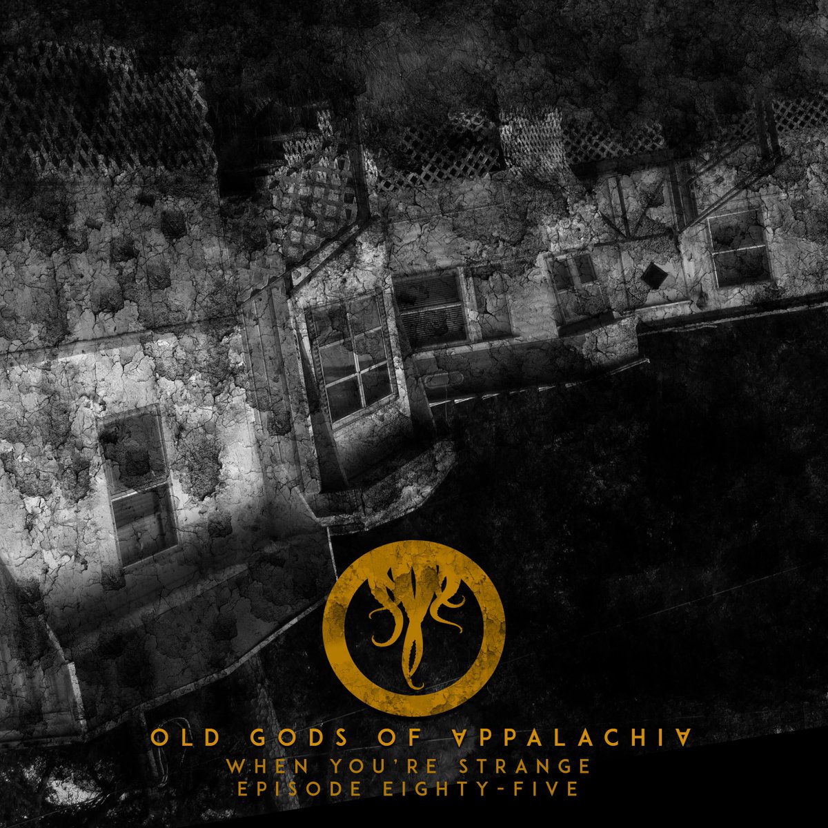 oldgodspod's tweet image. The final arc of season five begins. Two trailer parks, unalike in dignity, is where we lay our scene.
Live for subscribers to the Holler tonight, 7.9.25. oldgodsofappalachia.com/theholler
Available for the rest of the family on 7.10.25.