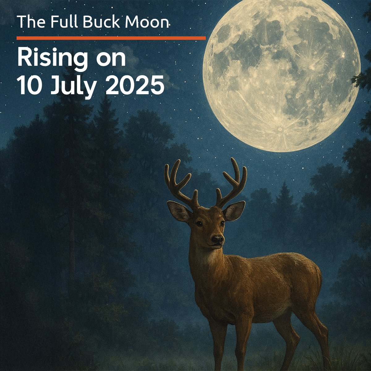 KinetXSNAFD's tweet image. 🌕 Full Moon: Buck Moon - In 2025, it will rise on 10 July
Known as the Buck or Thunder Moon, July&apos;s full moon reminds us that even Earth&apos;s skies hold celestial beauty.

✨ Which lunar moment has left you speechless?

kinetx.com

#KinetX #SpaceNavigation