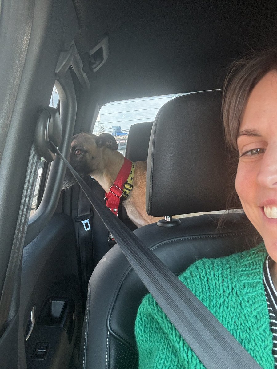 Hoy hoy hoy! 
Un gran de de adopciones y nuevos tránsito! 
Quédate que te cuento quienes consiguieron casa 
Y no te olvides de seguirnos en ig 
instagram.com/mision.solidar…