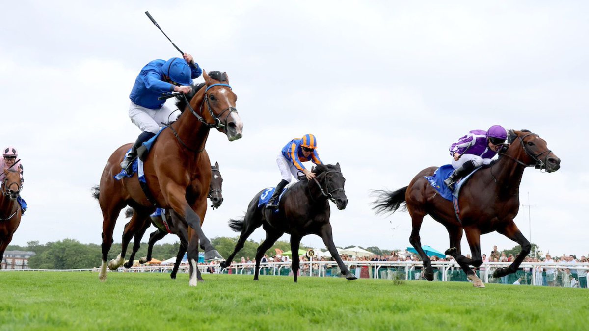 Cavalor.race (@cavalor_race) on Twitter photo 📸 What has been your favourite moment of the flat season so far? 📸 What has been your favourite moment of the flat season so far?
