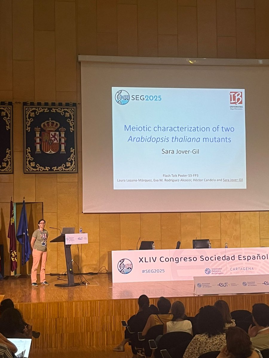 @SEGenetica (@segenetica) on Twitter photo ¡Gracias a nuestros ponentes #FlashTalk! #SEG2025
Joaquín Martínez Espino, Sonia Jimeno González y <a href="/sjovergil/">Sara Jover-Gil</a> ¡Gracias a nuestros ponentes #FlashTalk! #SEG2025
Joaquín Martínez Espino, Sonia Jimeno González y <a href="/sjovergil/">Sara Jover-Gil</a>
