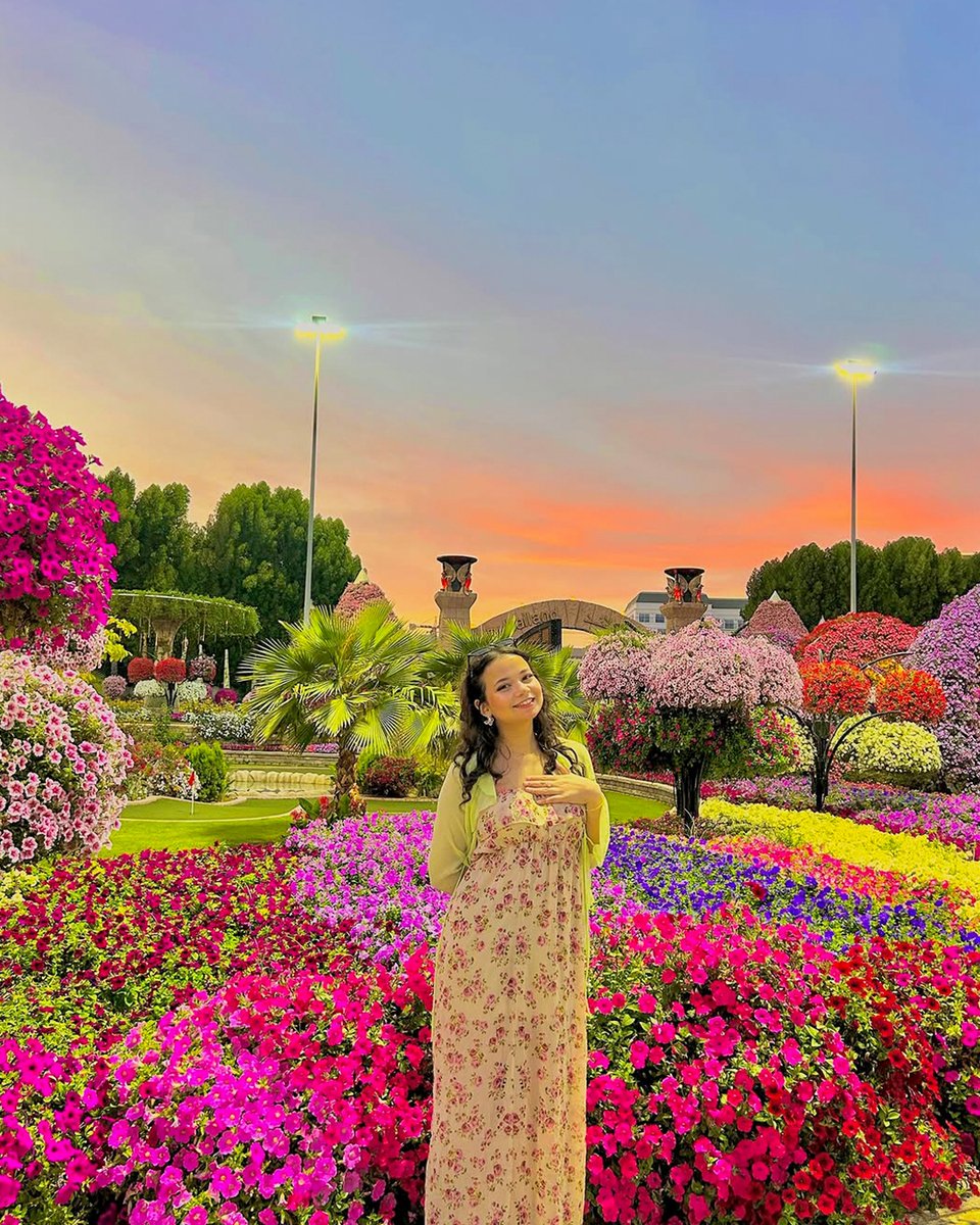 Dubai Miracle Garden tweet media