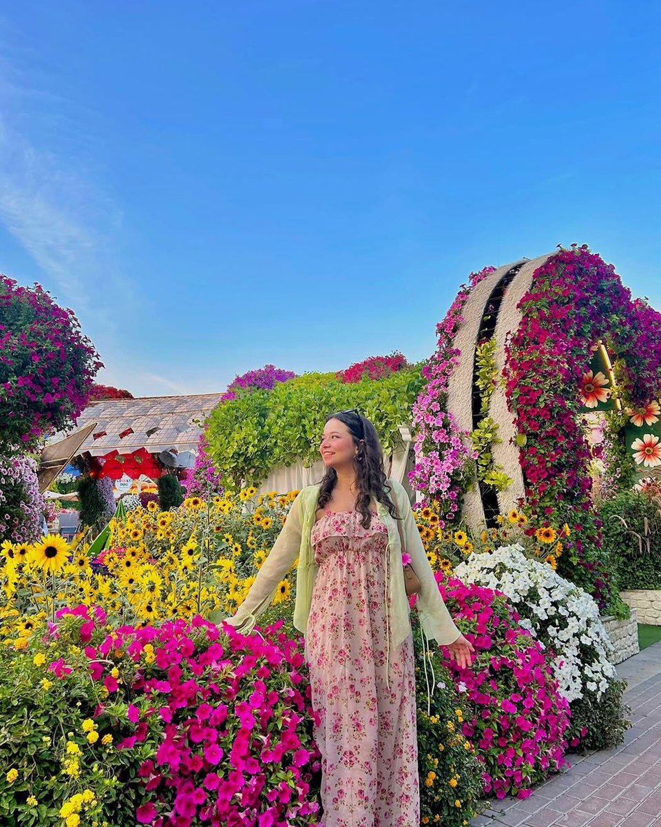 Dubai Miracle Garden tweet media