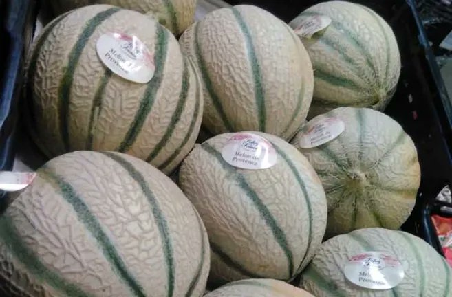 Ces melons vendus dans les magasins Carrefour contiennent trop de pesticides : ils sont rappelés dans toute la France

lepopulaire.fr/paris-75000/ac…