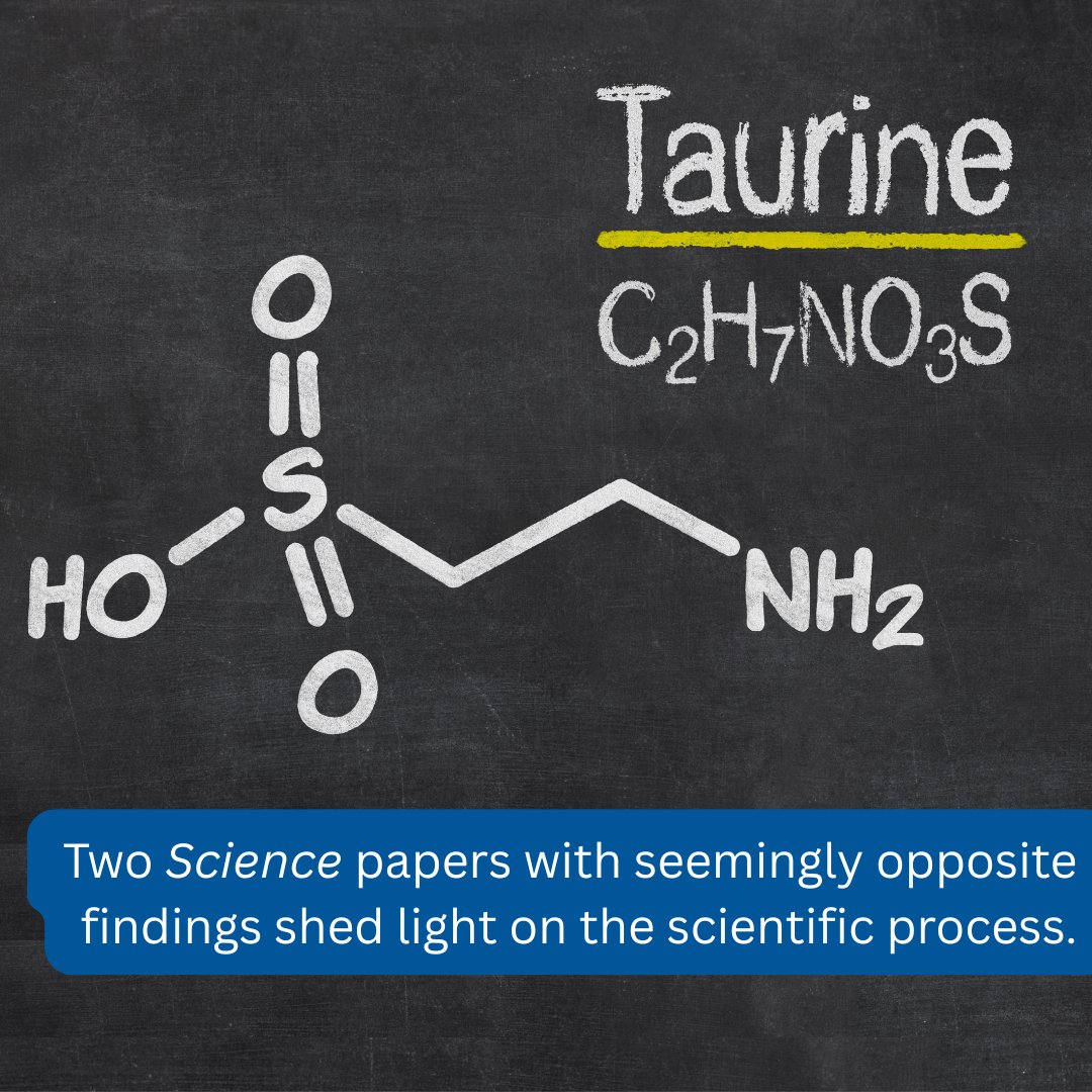 aaas's tweet image. Two studies published in @ScienceMagazine with seemingly contradictory results on the effects of taurine on aging shed light on the scientific process. In fact, the results of one study directly informed the other. Read more: aaas.org/news/when-oppo…