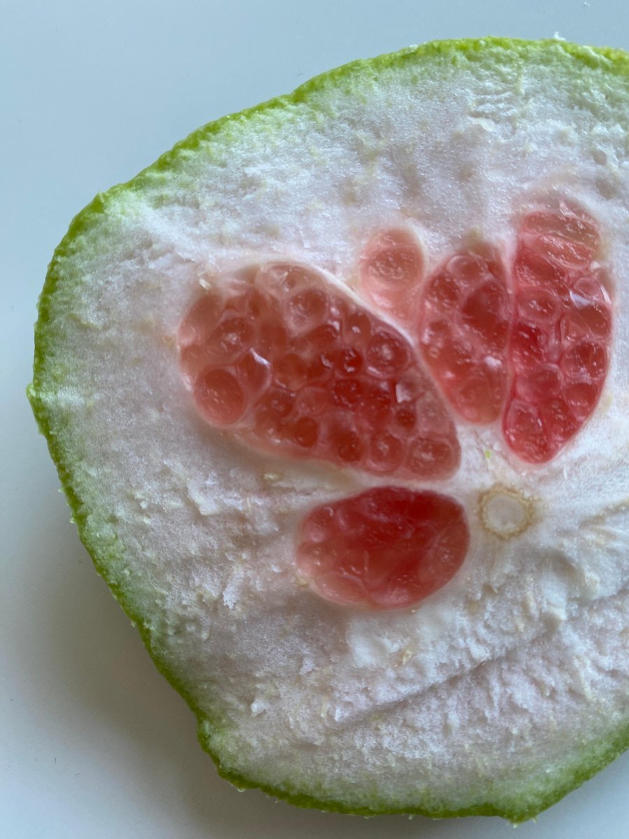 BUCollegeofENG's tweet image. The pomelo fruit's complex, spongy peel protects it from falls of up to 50 feet. With a U.S. Navy grant, Greg McDaniel plans to figure out precisely what the pomelo is doing right, and translate that to a protective coating for a torpedo or a ship’s hull.
spr.ly/60184thHE