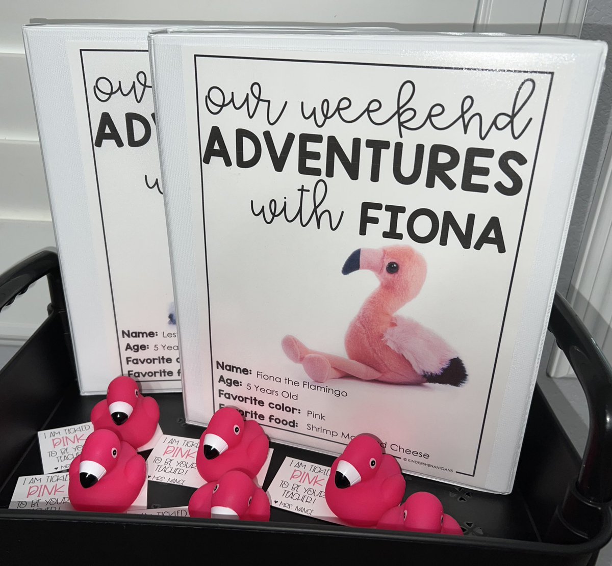 Meet the Teacher gifts- done. ✔️
Class Pet Journals- almost done.

Thank you to the sweet ladies who have purchased and donated items, including these rubber duck flamingos, for my new group of kinder babies! 🦩🩷

amazon.com/hz/wishlist/ls…