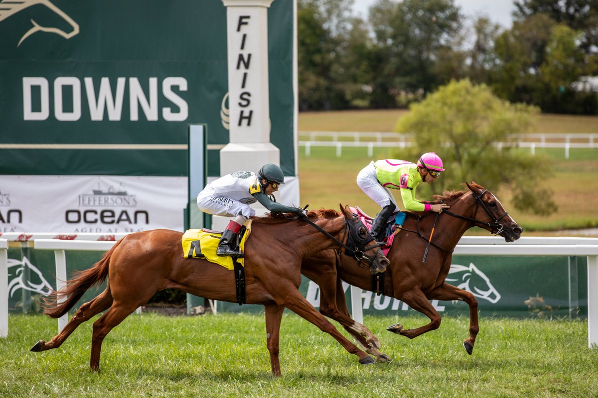 KYDownsRacing's tweet image. Tickets are on sale now for reserved seating at the 2025 Kentucky Downs meet! Enjoy an elevated experience at one of America's most unique race meets 🏇
Get your tickets here 👉 tinyurl.com/y3pm6kan
#KyDowns