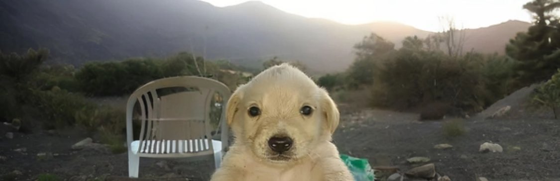 BricksToFlip 🧱 tweet media