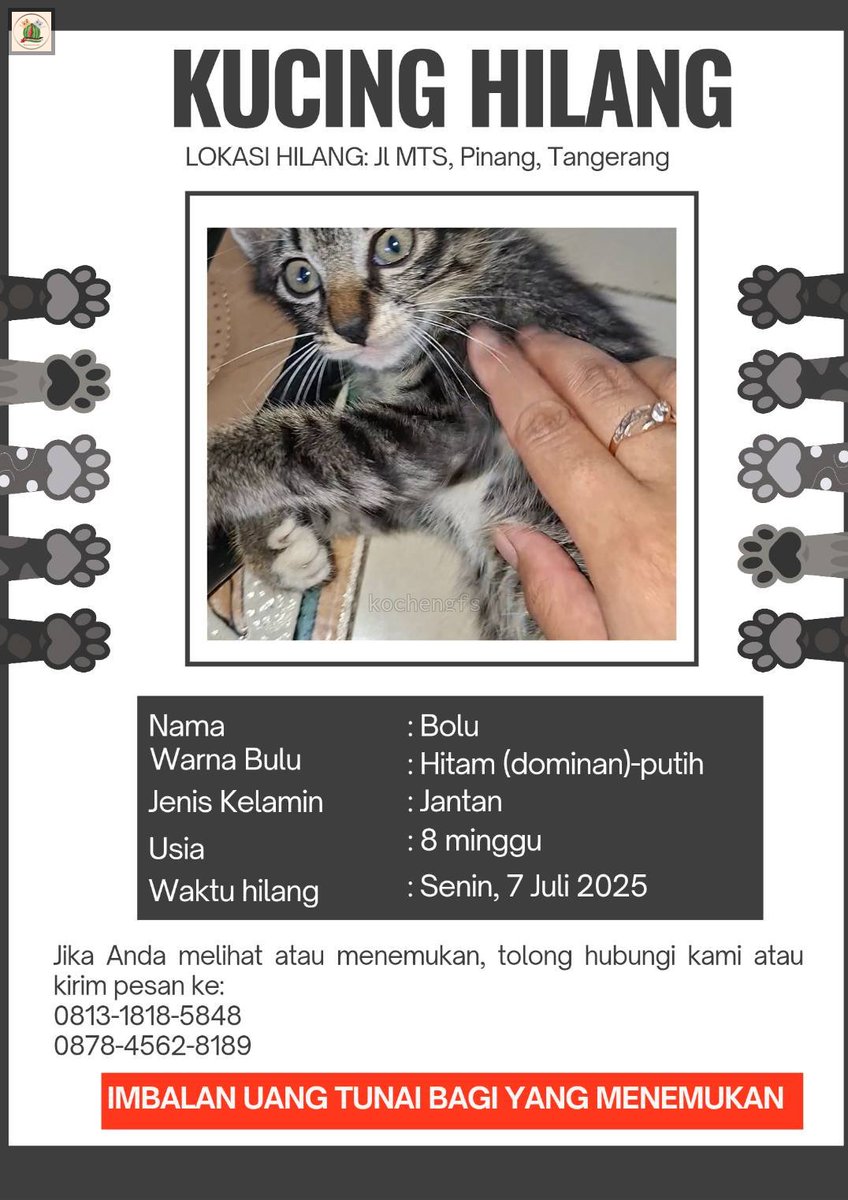 KochengFess v2 tweet media