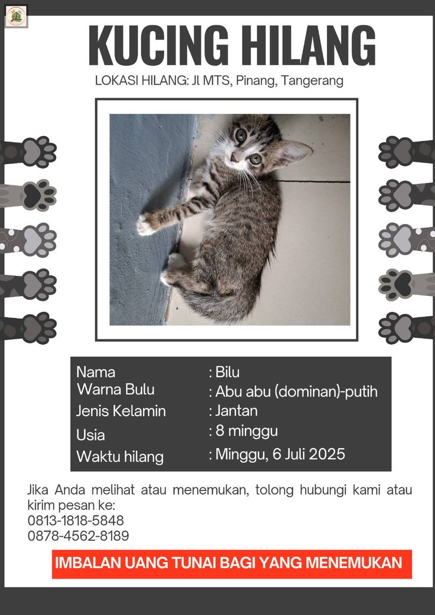 KochengFess v2 tweet media