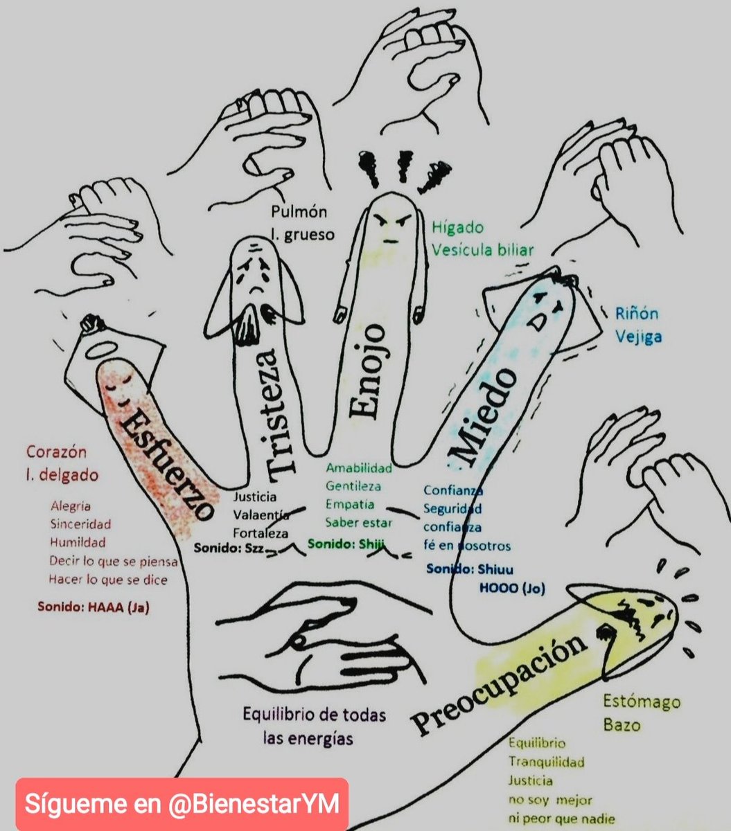 ✨💫🌿☀️Tip Saludable☀️🌿💫✨

Beneficios de mantener apretado durante 2min cada uno de los dedos.

*Regálame un Hola si me lees*