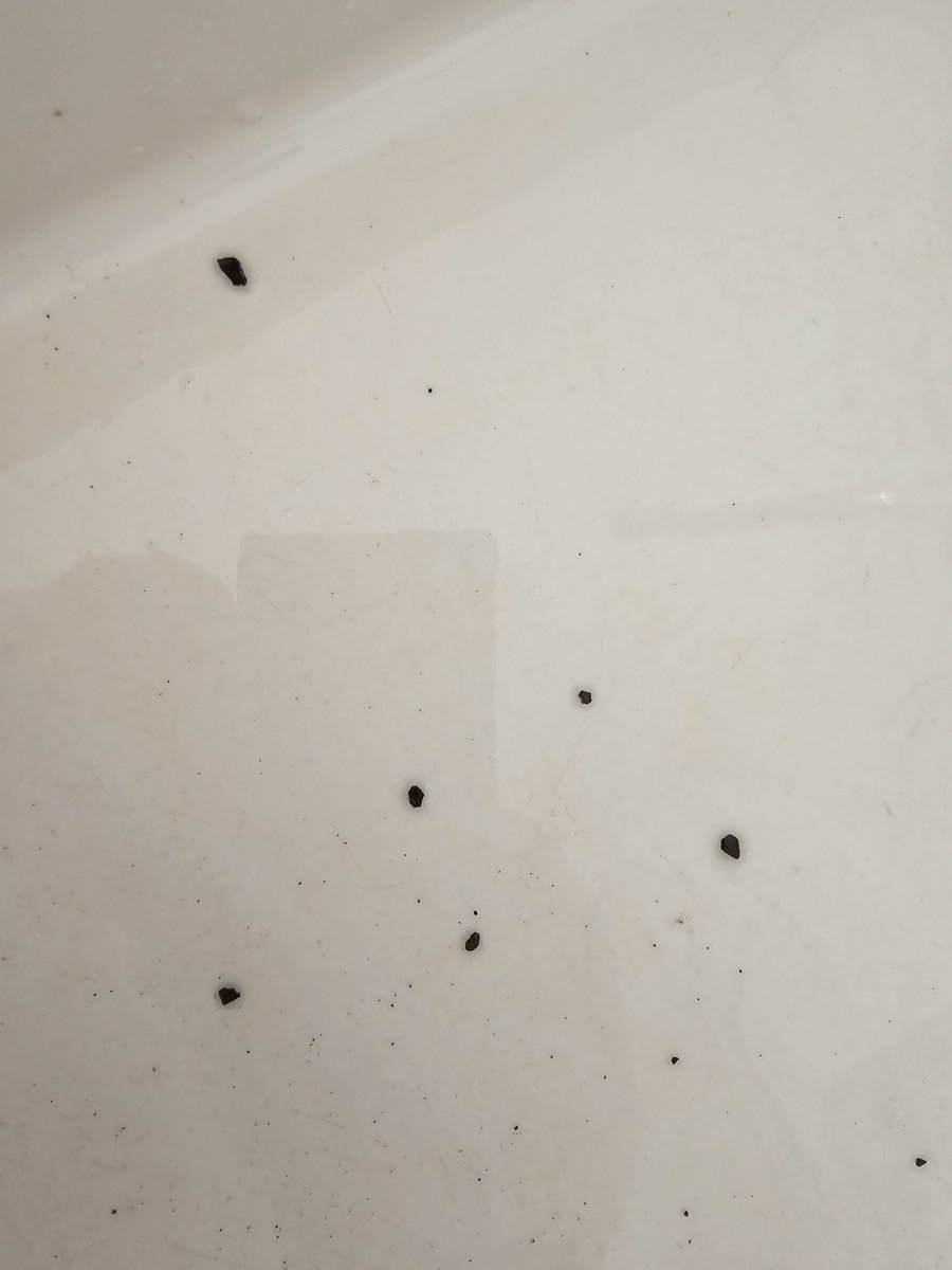 rabgillon's tweet photo. @scottish_water im trying g to stay safe around water but this is what my family are drinking and eating! https://t.co/WFoz71junQ