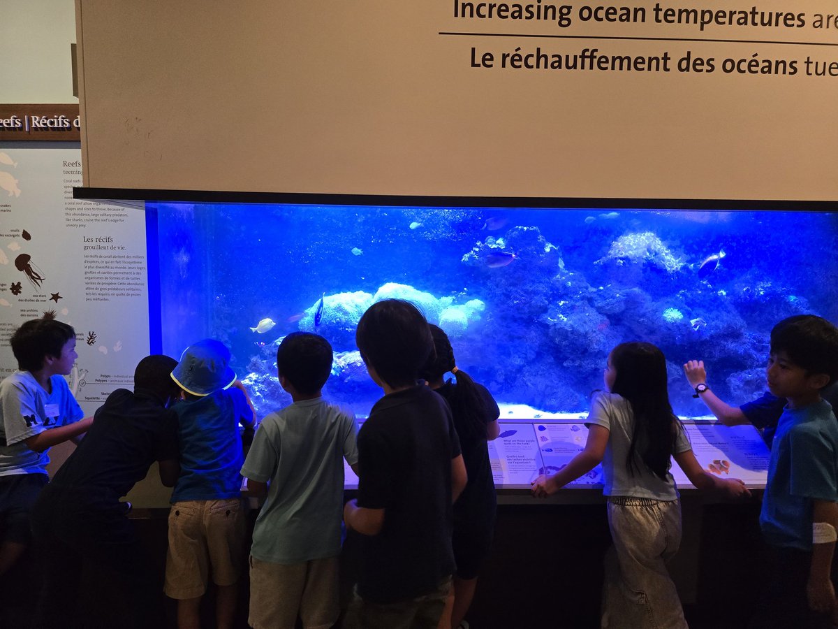 TCDSB Summer Learning (@tcdsbsummerlrn) on Twitter photo <a href="/ROMtoronto/">Royal Ontario Museum</a> with our Summer Learning groups from St. Robert <a href="/TCDSB/">Toronto Catholic District School Board</a> <a href="/MorassuttiS/">Sandra Morassutti</a> #ExperientialLearning #SLP2025 <a href="/ROMtoronto/">Royal Ontario Museum</a> with our Summer Learning groups from St. Robert <a href="/TCDSB/">Toronto Catholic District School Board</a> <a href="/MorassuttiS/">Sandra Morassutti</a> #ExperientialLearning #SLP2025