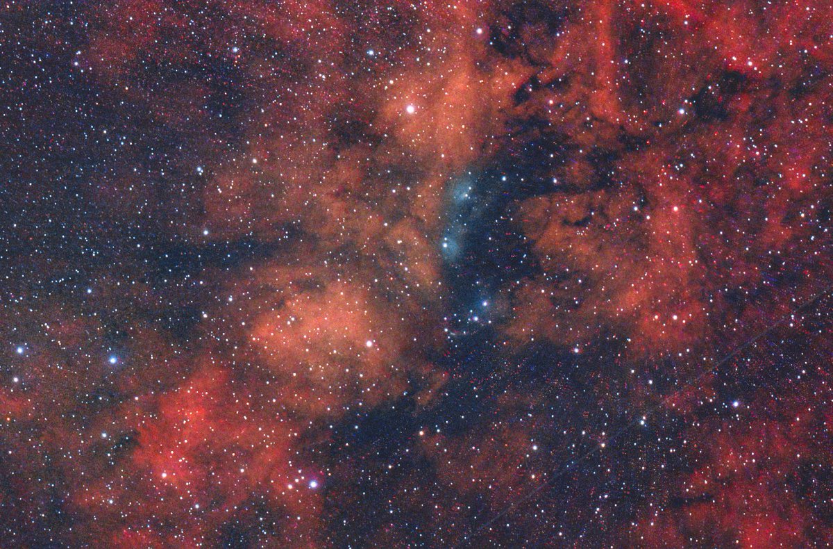 Dave_StarGeezer's tweet image. I had a cracking all-nighter last night. Well, it's not very long at this time of year. I failed to capture the solar system interloper yet again! But I was pleased to get more stonking Cyngus nebulosity. As the sky brightened, I swapped cameras to capture Saturn. 😁