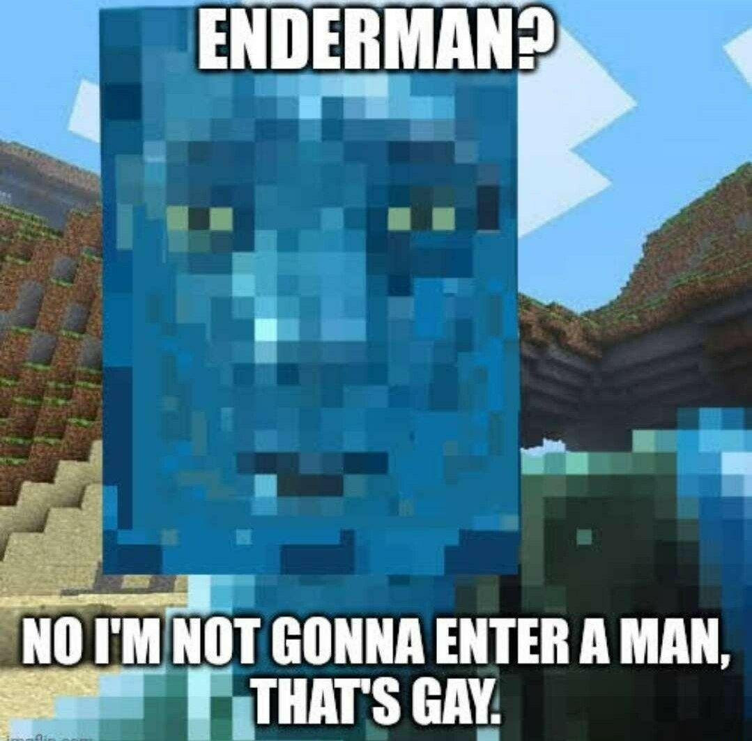 MinecraftMeme16's tweet image. Thats werid