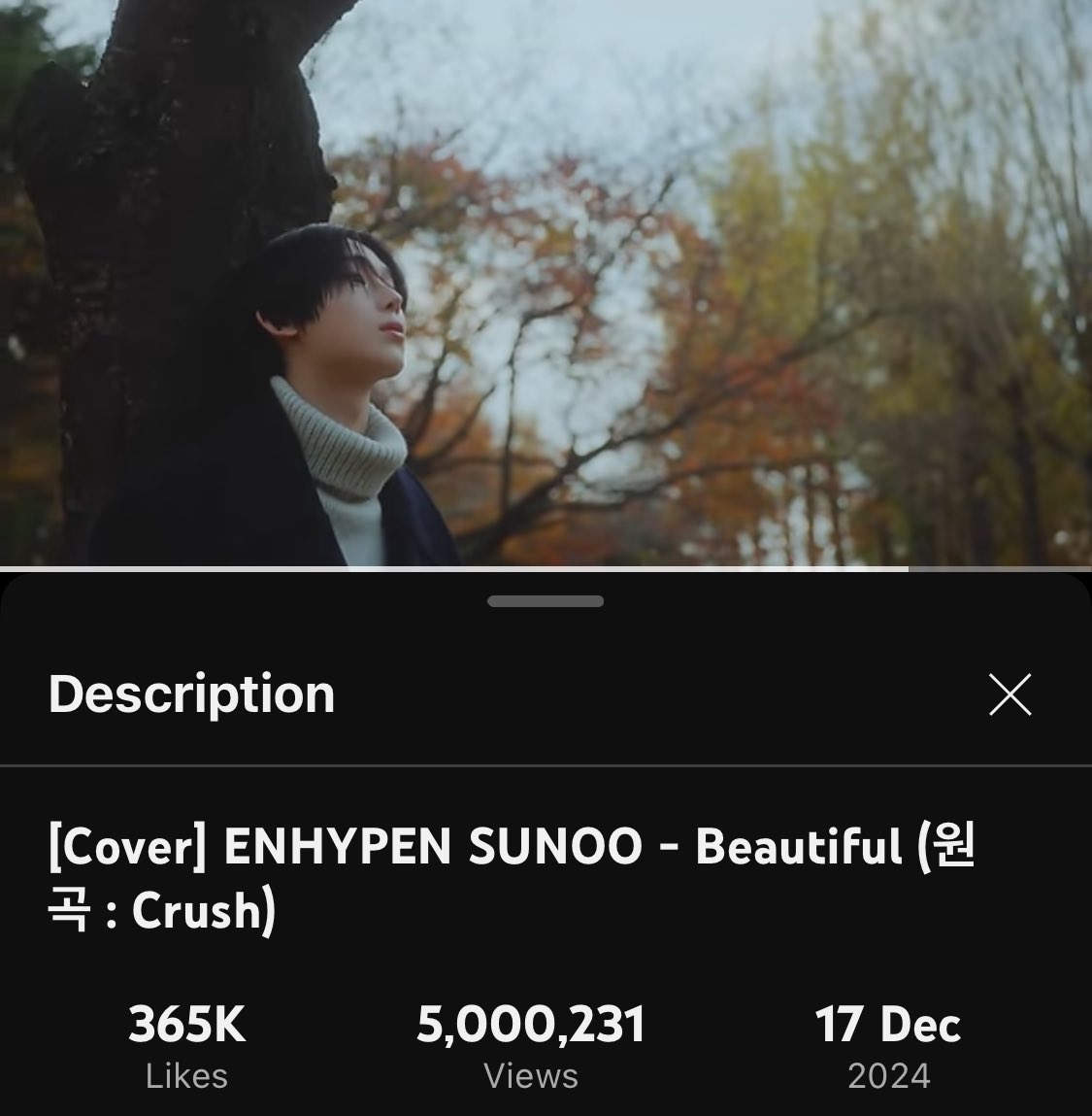 pyu ♡ 선우 (LONG REST) tweet media