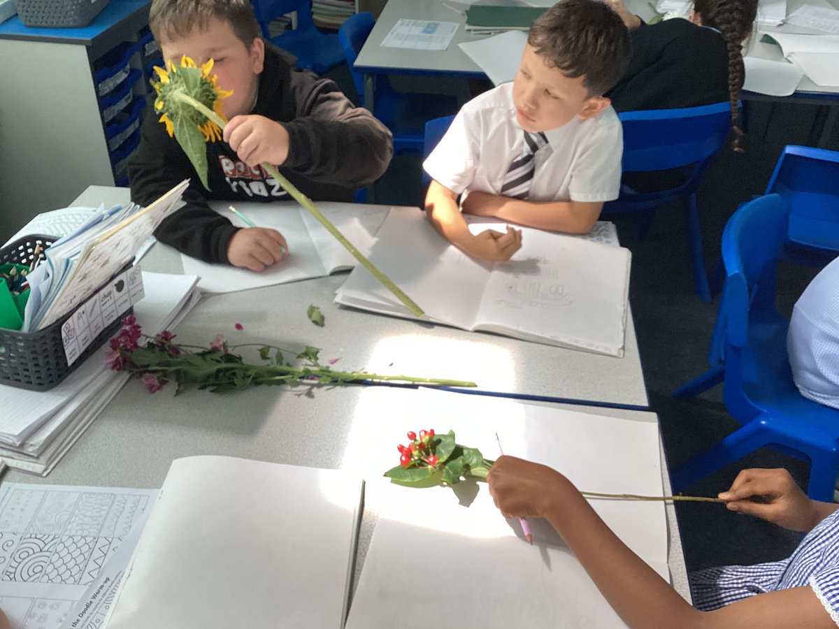 asmyear3's tweet photo. We have enjoyed some calm and peaceful still life drawing in our classroom this week … https://t.co/6FbexGLZ29