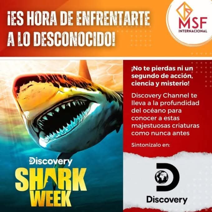 MSFInterna84366's tweet photo. ¿Estás listo para sumergirte en las profundidades y enfrentar al depredador más temido del océano? Shark Week te espera con historias que te pondrán los pelos de punta. https://t.co/hSK33ZMK1k