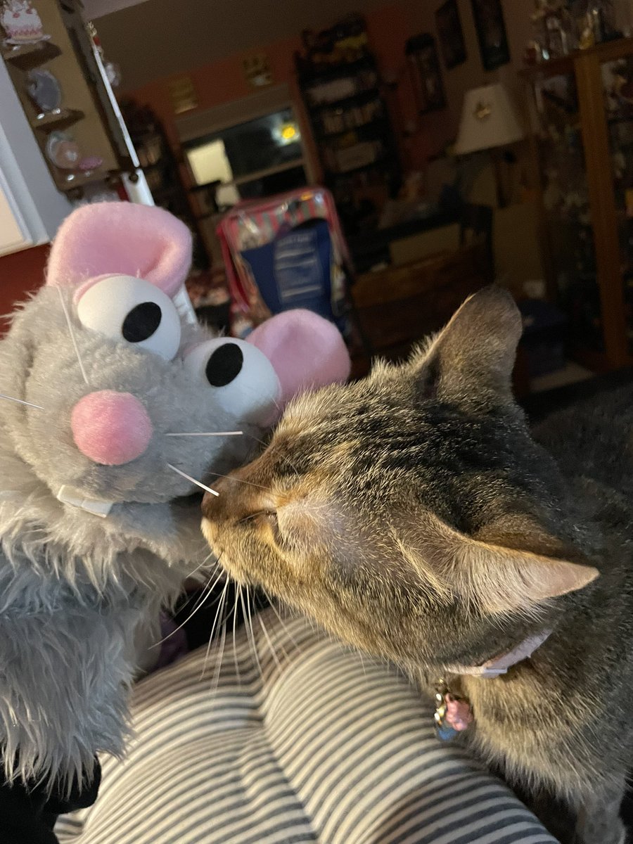 Made it home safe last night