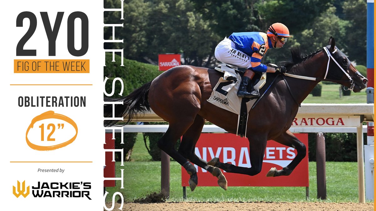 Ragozin Sheets (@ragozinsheets) on Twitter photo The very first #2YOFigOfTheWeek of 2025, brought to you by <a href="/spendthriftfarm/">Spendthrift Farm</a> stallion JACKIE'S WARRIOR, is <a href="/TheNYRA/">NYRA (🎪)</a> Saratoga G3 Sanford Stakes winner, OBLITERATION!
📷 by NYRA / <a href="/coglianesephoto/">Coglianese Photos</a> The very first #2YOFigOfTheWeek of 2025, brought to you by <a href="/spendthriftfarm/">Spendthrift Farm</a> stallion JACKIE'S WARRIOR, is <a href="/TheNYRA/">NYRA (🎪)</a> Saratoga G3 Sanford Stakes winner, OBLITERATION!
📷 by NYRA / <a href="/coglianesephoto/">Coglianese Photos</a>