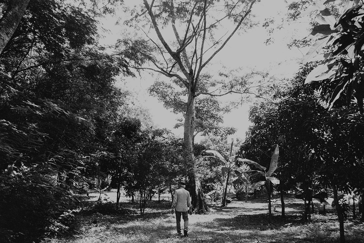 "calm winds"

📍 cuiabá, mt, brasil
🎞️ kentmere 400
🔹 1/1 edition on objkt