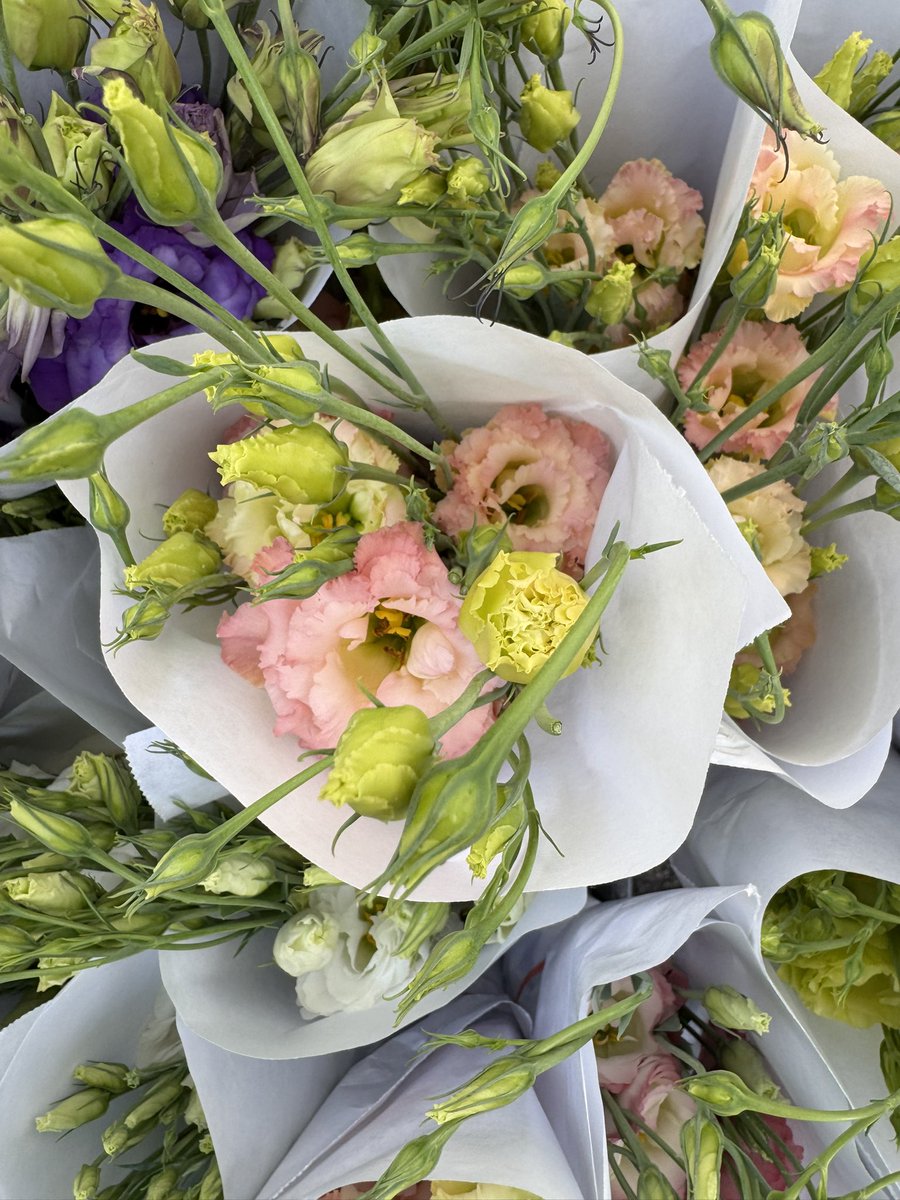 🌺 Mark’s Miami Garden tweet media