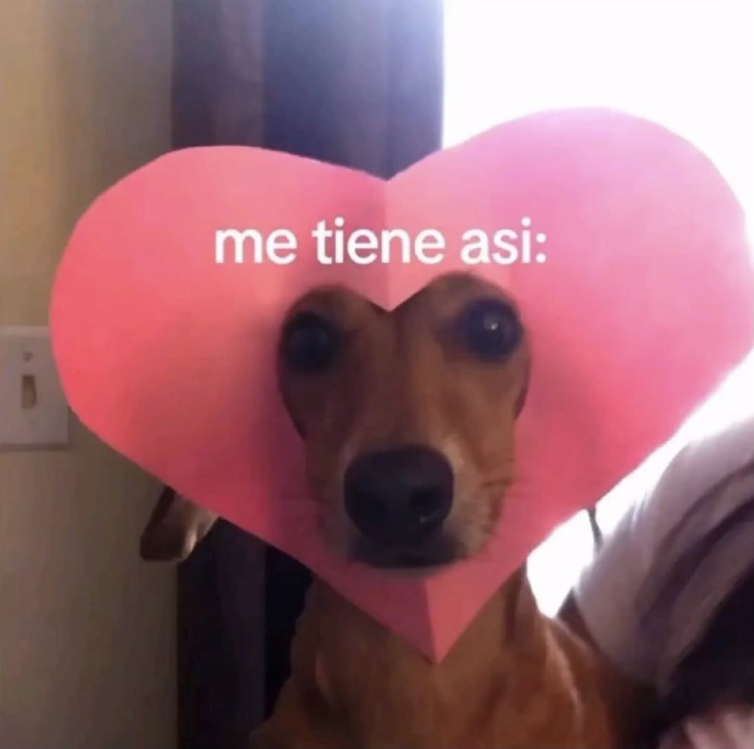 tom (@tomiezequiel15) on Twitter photo 