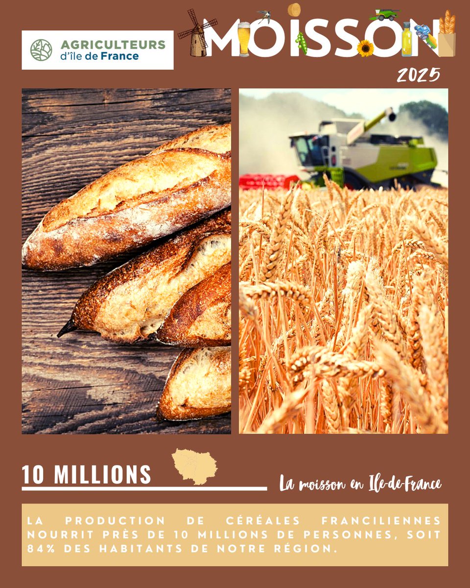 🚜MOISSON 2025🌾
Remercions les agriculteurs et les agricultrices franciliens qui nourrissent avec fierté les habitants de sa région 👩🏻‍🌾👨🏼‍🌾🍽️
Les agriculteurs et les agricultrices cultivent et récoltent des céréales 🌾pour nous permettre d’avoir une belle baguette fraîche et
