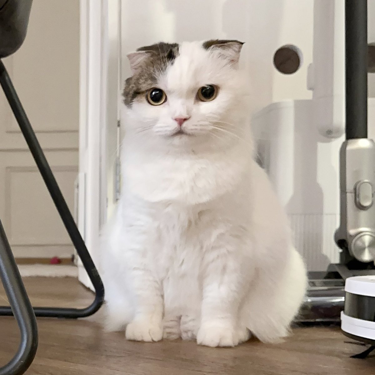 เหมือนโดนไฟฉายย่อส่วน