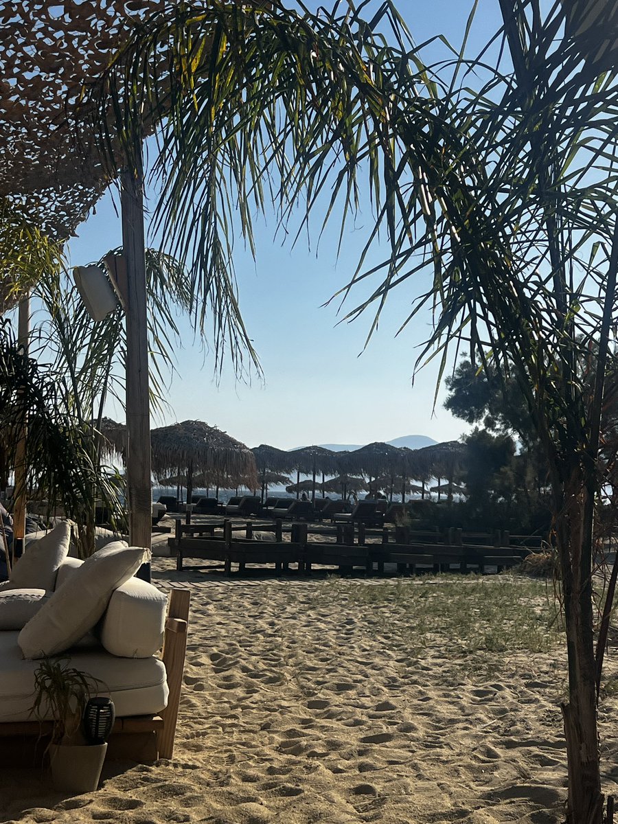 quit your job and focus on summer