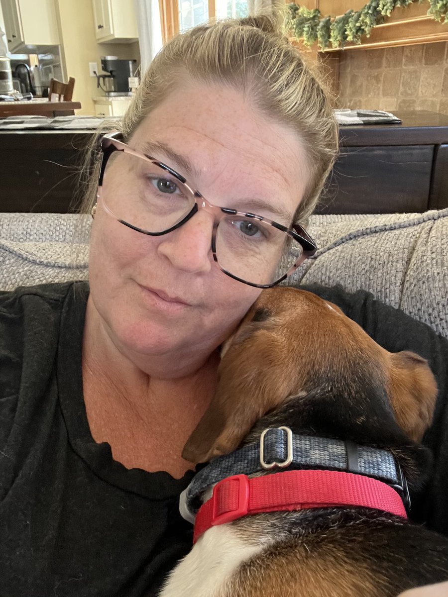 LolaPatolla's tweet photo. Archer checking in having a fabulous summer with his family!
He loves cuddling, playing fetch &amp; summer because his humans are home all day! 🤗🥰♥️ https://t.co/4zmEyjTTfK