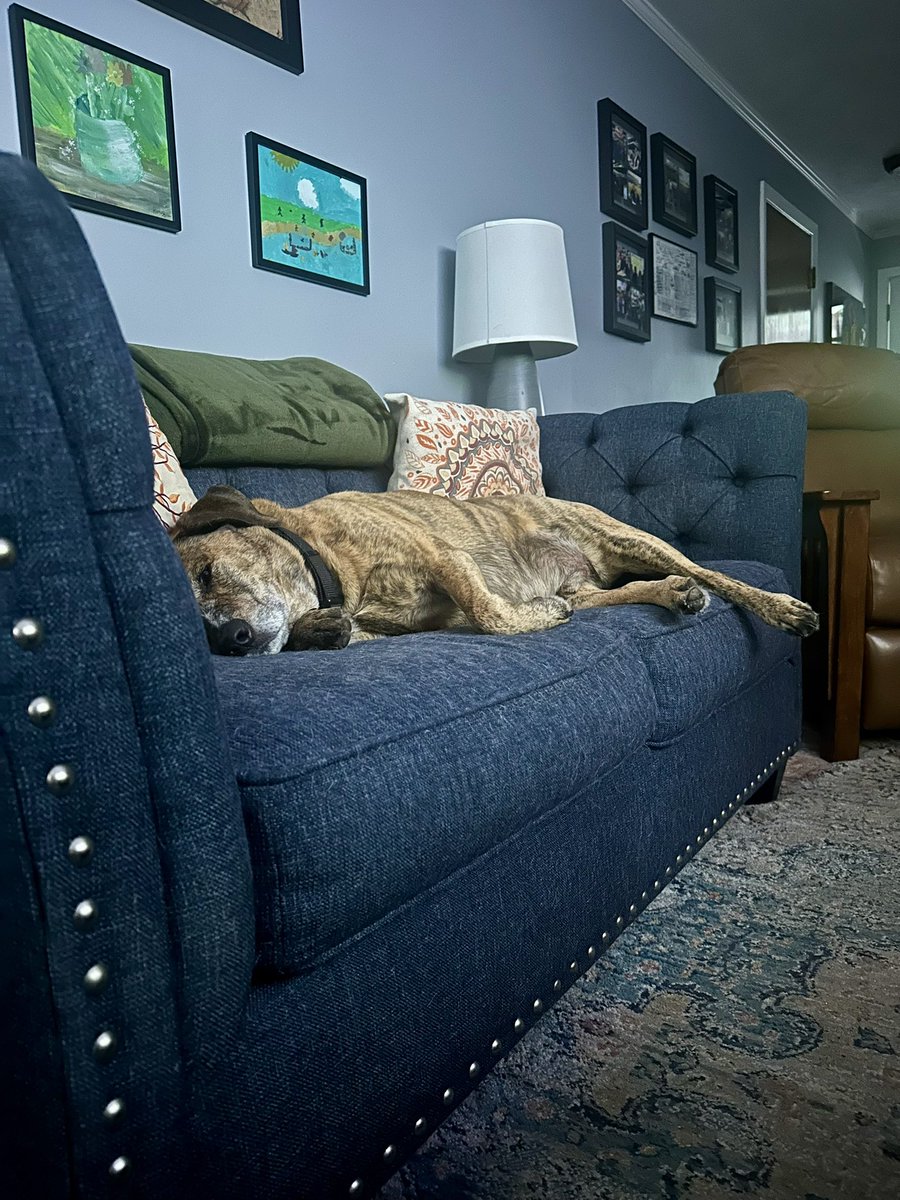 Dana Spies tweet media