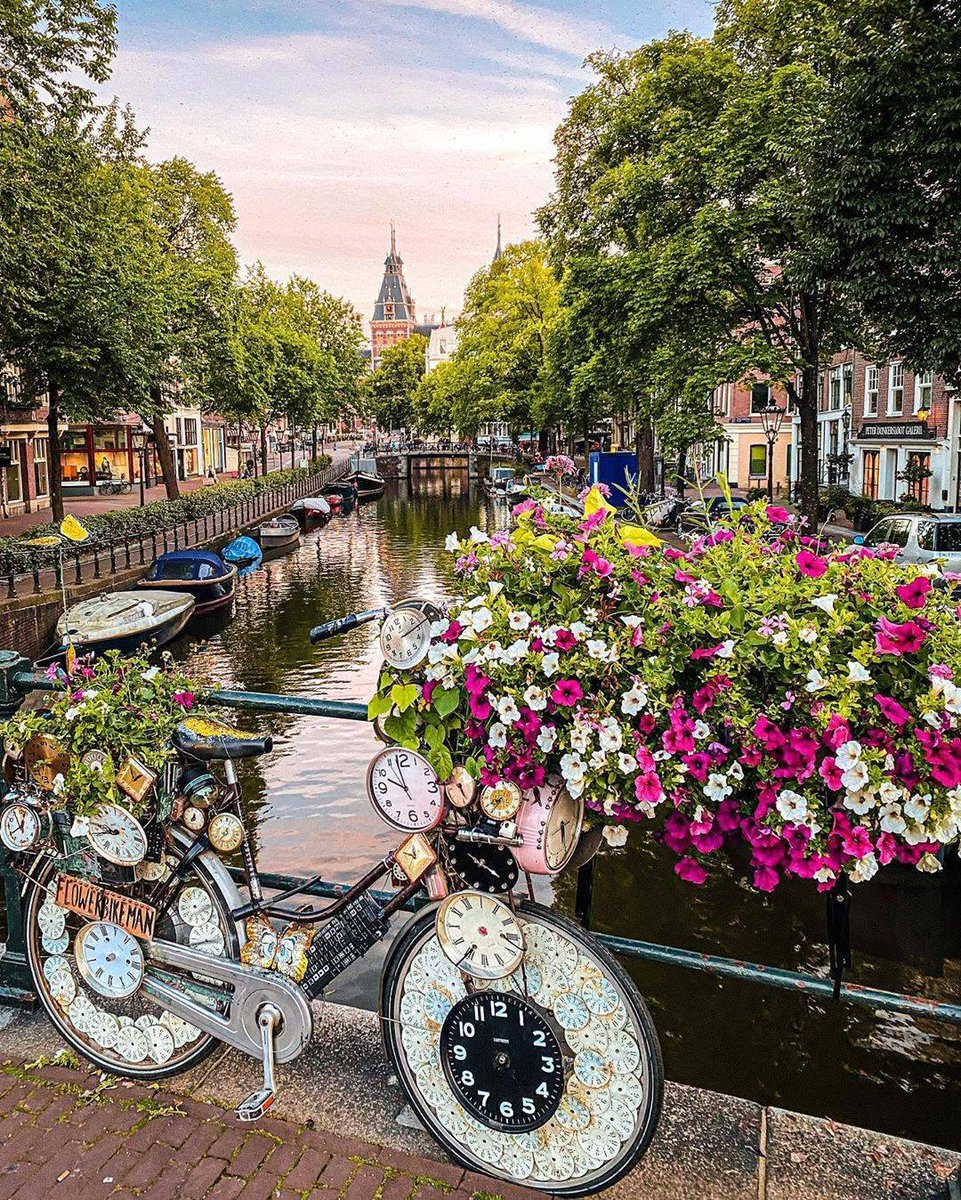 Timeless beauty by the canal! 🌸⏰
 #AmsterdamVibes #FlowerBike