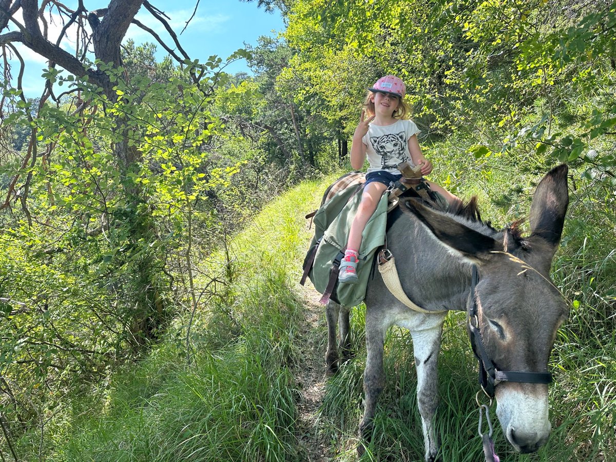 Th3Elvyn's tweet photo. Any idea for an adventurous family vacation?? Last year, donkey hiking tour in the south of France made an impression on the kids! I need to level up…. Any idea? https://t.co/i9N3oMblbx