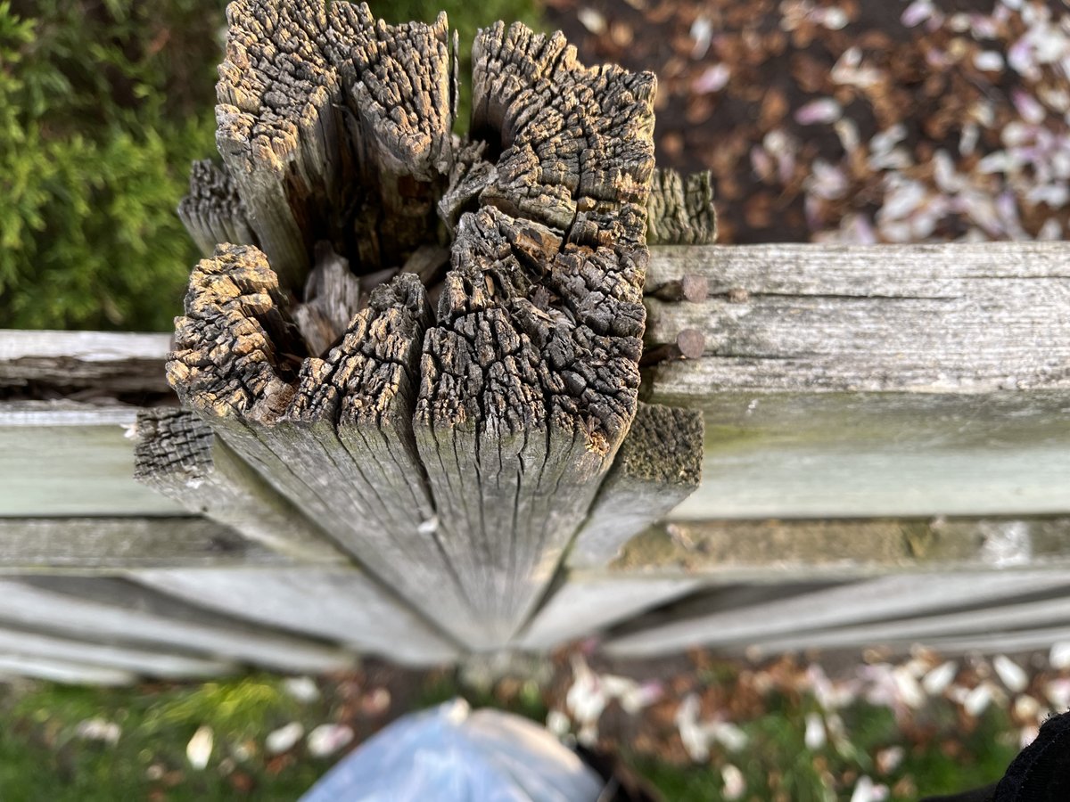 FenceArmorAl's tweet image. Don’t overlook the exposed part—the top of your posts. Sun exposure, rain, and moisture can quickly lead to cracking, rot, and long-term damage!
Fence Armor® Post Caps is the perfect protection—for all of the above.
👉 fencearmor.com
#DIY #Summer #BackyardProjects