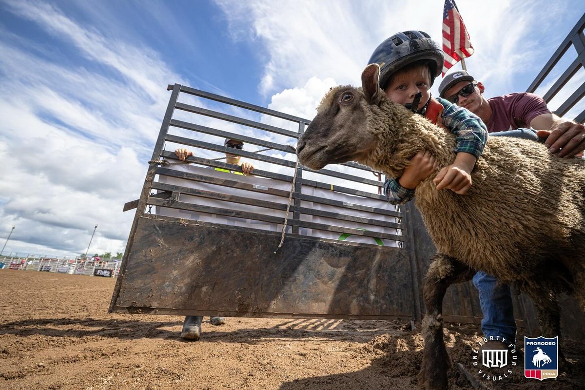 cdcmorrisonmn's tweet photo. Enjoy these fabulous photos by 144 Visuals from Harding Days!  🐎🐴
https://t.co/GwsdaOxfAF

#HardingDays #HardingRodeo #HardingMN #MorrisonCounty https://t.co/D0yiDtLvCZ