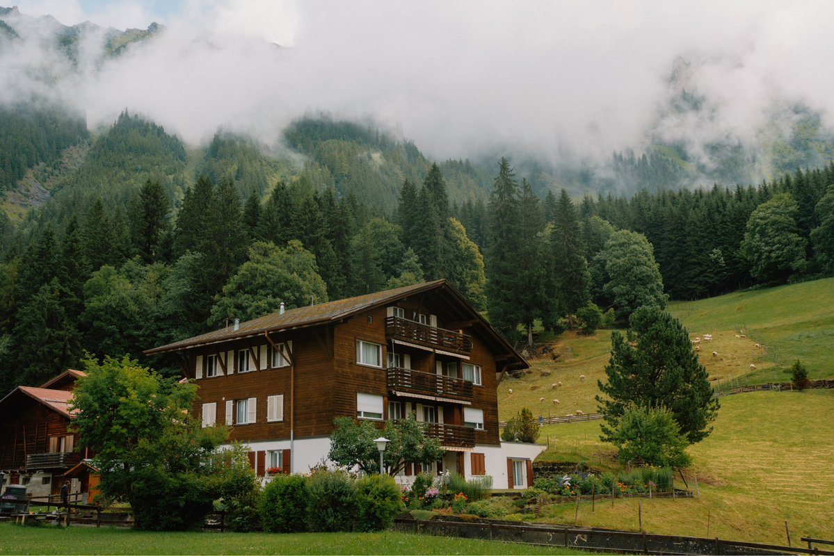 DanielCasson1's tweet image. In the mountains //