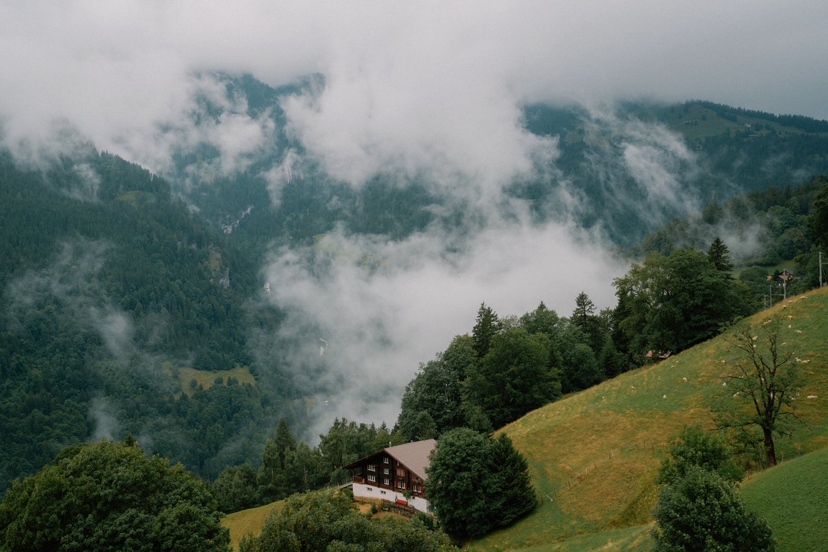 DanielCasson1's tweet image. In the mountains //