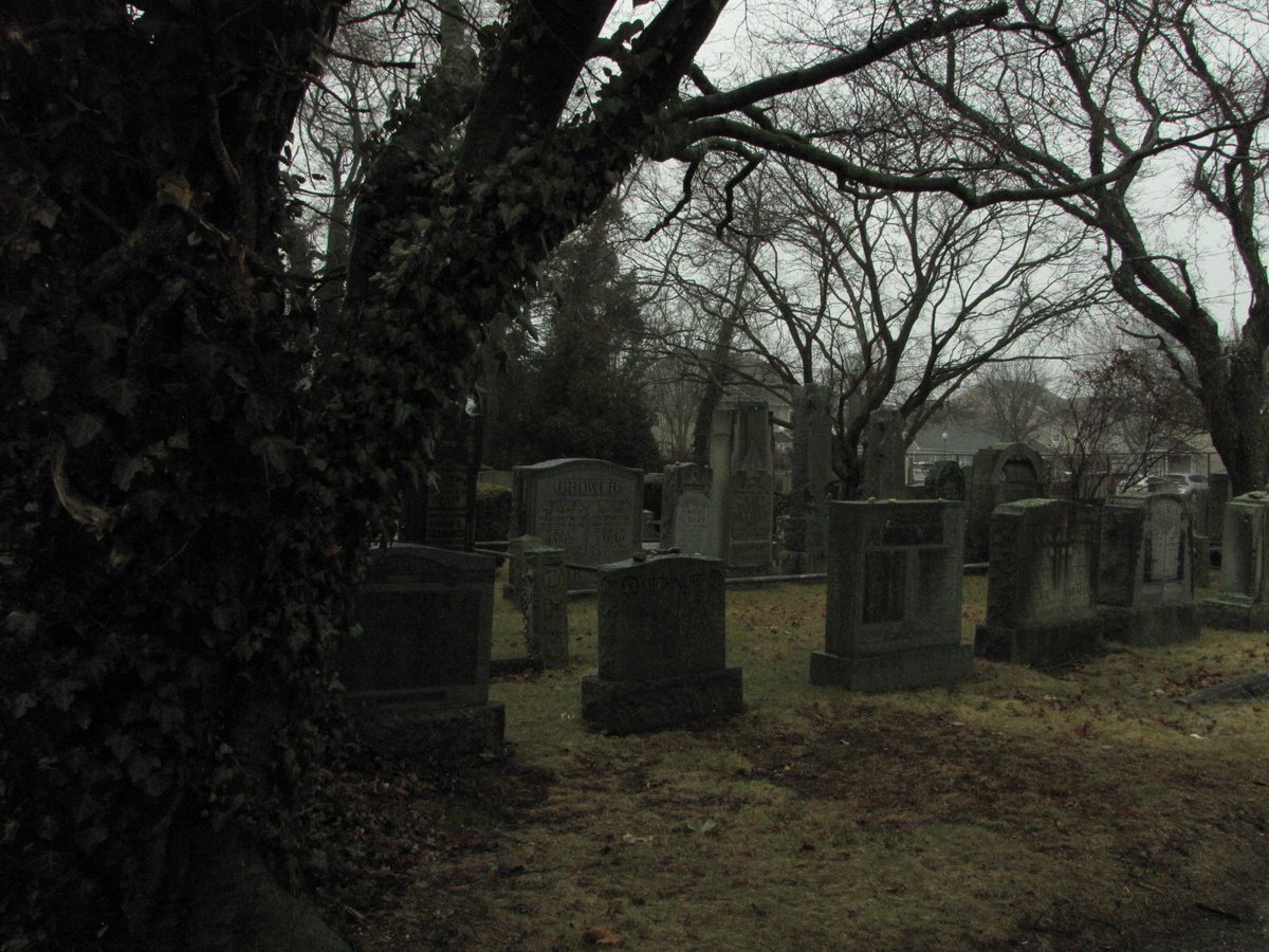 vin (@02void) on Twitter photo 