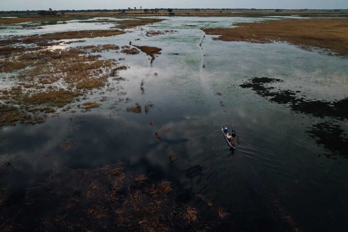 My happy place 💙💧🌿

📍 Okavango Delta, Botswana