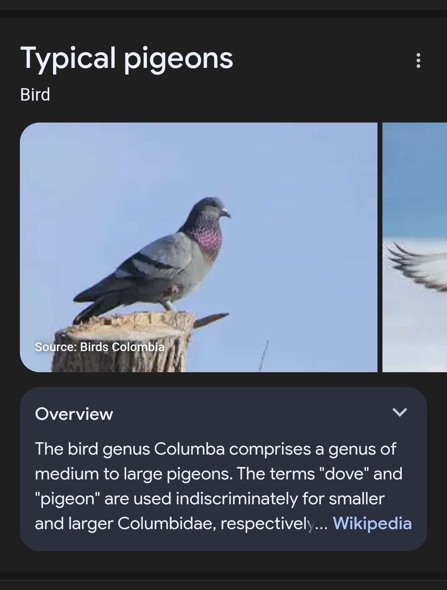 Tweet media two