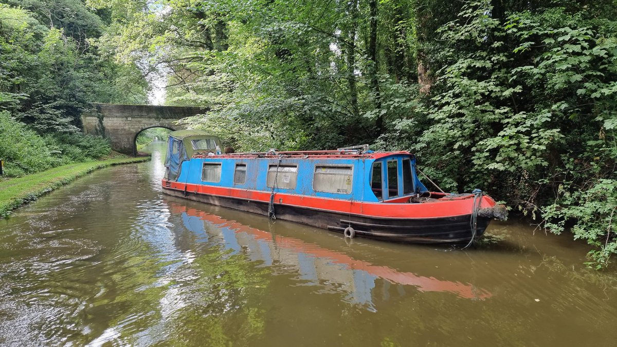 Moira Jenkins 🧡 tweet media