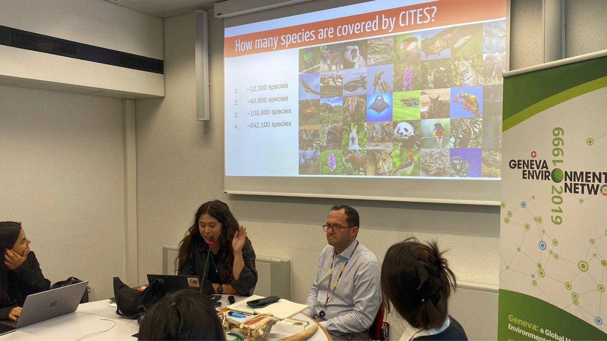 GENetwork's tweet photo. Today, students from Chinese universities visited #EnvironmentHouse for a discussion on #GENeva as a global hub for env’t governance.
Lively exchanges were held with Tapiwa Nxele of @UNEP on chemicals & waste, & Thomas Deleuil w/ Katherine Huang of @CITES on #WildlifeTrade. https://t.co/2ERTMSUoLY