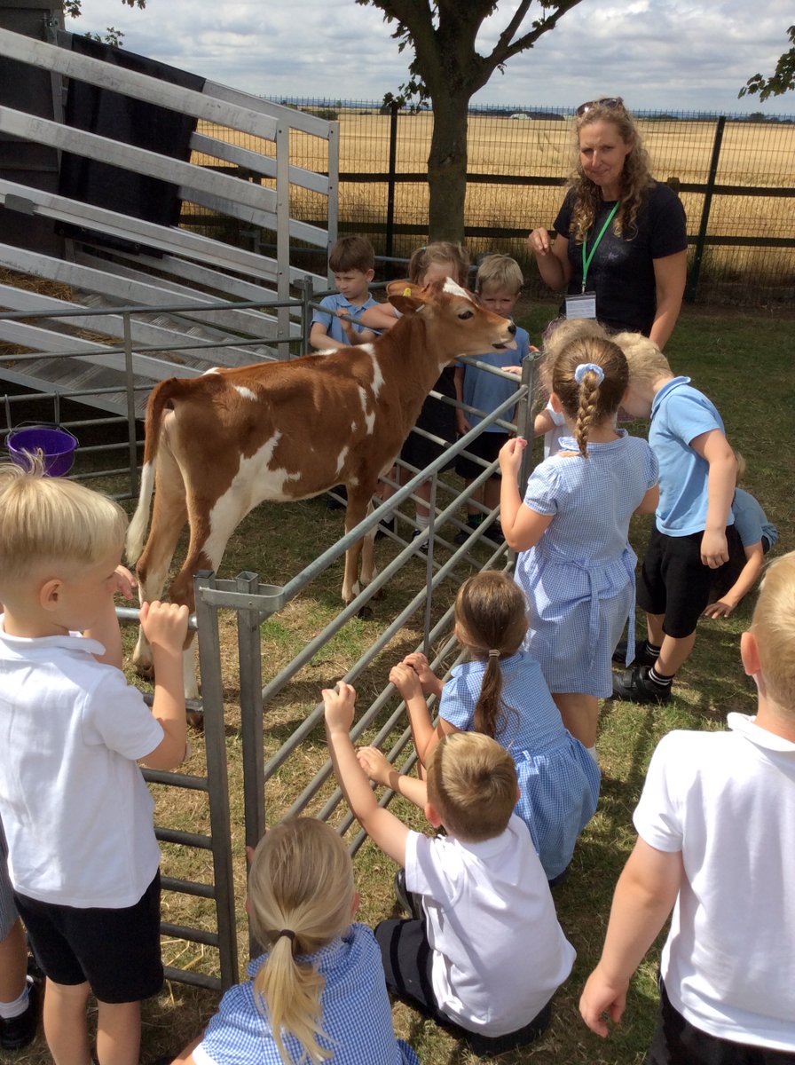 Patrington Academy tweet media