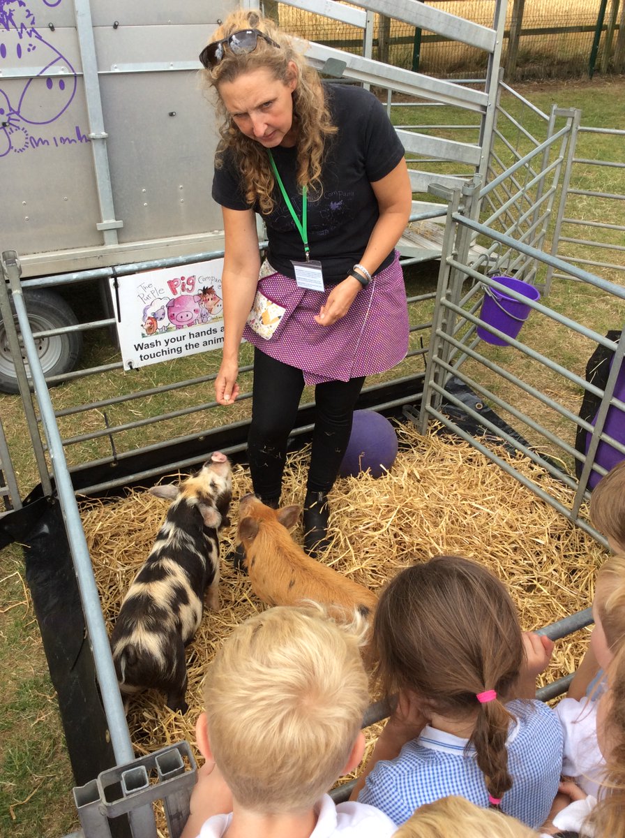 Patrington Academy tweet media